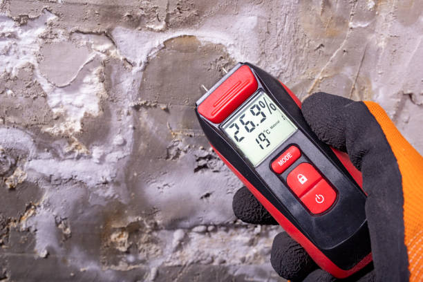 Best Residential Mold Removal  in Poplar Grove, IL