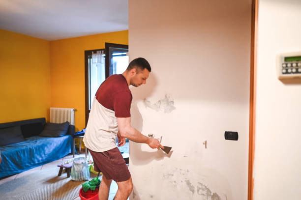 Best Affordable Mold Removal  in Poplar Grove, IL